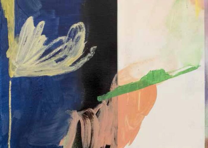 tentoonstelling catharina_dhaen_